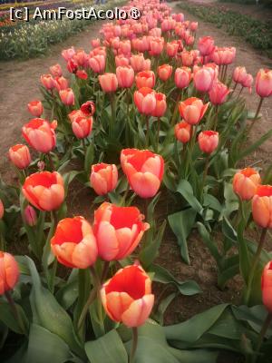 [P04]  -- <small>// FĂRĂ DESCRIERE</small> » foto by Cristian_h
 - 
<span class="allrVoted glyphicon glyphicon-heart hidden" id="av1518635"></span>
<a class="m-l-10 hidden" id="sv1518635" onclick="voting_Foto_DelVot(,1518635,4219)" role="button">șterge vot <span class="glyphicon glyphicon-remove"></span></a>
<a id="v91518635" class=" c-red"  onclick="voting_Foto_SetVot(1518635)" role="button"><span class="glyphicon glyphicon-heart-empty"></span> <b>LIKE</b> = Votează poza</a> <img class="hidden"  id="f1518635W9" src="/imagini/loader.gif" border="0" /><span class="AjErrMes hidden" id="e1518635ErM"></span>