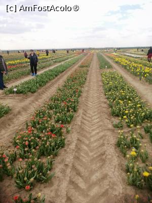 [P08]  -- <small>// FĂRĂ DESCRIERE</small> » foto by Cristian_h
 - 
<span class="allrVoted glyphicon glyphicon-heart hidden" id="av1518639"></span>
<a class="m-l-10 hidden" id="sv1518639" onclick="voting_Foto_DelVot(,1518639,4219)" role="button">șterge vot <span class="glyphicon glyphicon-remove"></span></a>
<a id="v91518639" class=" c-red"  onclick="voting_Foto_SetVot(1518639)" role="button"><span class="glyphicon glyphicon-heart-empty"></span> <b>LIKE</b> = Votează poza</a> <img class="hidden"  id="f1518639W9" src="/imagini/loader.gif" border="0" /><span class="AjErrMes hidden" id="e1518639ErM"></span>