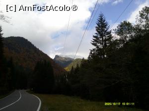 [P15] 15. Continuăm urcușul pe Transfăgărășan. » foto by msnd
 - 
<span class="allrVoted glyphicon glyphicon-heart hidden" id="av1504613"></span>
<a class="m-l-10 hidden" id="sv1504613" onclick="voting_Foto_DelVot(,1504613,4219)" role="button">șterge vot <span class="glyphicon glyphicon-remove"></span></a>
<a id="v91504613" class=" c-red"  onclick="voting_Foto_SetVot(1504613)" role="button"><span class="glyphicon glyphicon-heart-empty"></span> <b>LIKE</b> = Votează poza</a> <img class="hidden"  id="f1504613W9" src="/imagini/loader.gif" border="0" /><span class="AjErrMes hidden" id="e1504613ErM"></span>
