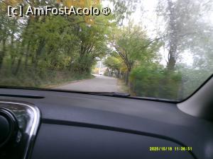 [P24] 24. Urmăm un drum secundar interesant. » foto by msnd
 - 
<span class="allrVoted glyphicon glyphicon-heart hidden" id="av1504622"></span>
<a class="m-l-10 hidden" id="sv1504622" onclick="voting_Foto_DelVot(,1504622,4219)" role="button">șterge vot <span class="glyphicon glyphicon-remove"></span></a>
<a id="v91504622" class=" c-red"  onclick="voting_Foto_SetVot(1504622)" role="button"><span class="glyphicon glyphicon-heart-empty"></span> <b>LIKE</b> = Votează poza</a> <img class="hidden"  id="f1504622W9" src="/imagini/loader.gif" border="0" /><span class="AjErrMes hidden" id="e1504622ErM"></span>