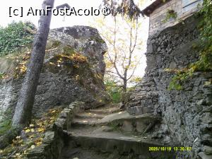 [P29] 29. Am ajuns! » foto by msnd
 - 
<span class="allrVoted glyphicon glyphicon-heart hidden" id="av1504627"></span>
<a class="m-l-10 hidden" id="sv1504627" onclick="voting_Foto_DelVot(,1504627,4219)" role="button">șterge vot <span class="glyphicon glyphicon-remove"></span></a>
<a id="v91504627" class=" c-red"  onclick="voting_Foto_SetVot(1504627)" role="button"><span class="glyphicon glyphicon-heart-empty"></span> <b>LIKE</b> = Votează poza</a> <img class="hidden"  id="f1504627W9" src="/imagini/loader.gif" border="0" /><span class="AjErrMes hidden" id="e1504627ErM"></span>