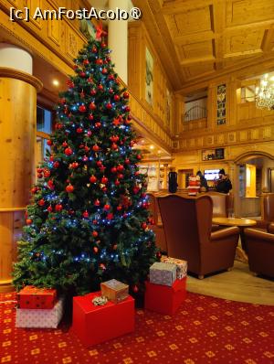 [P46] Hotel Mercure Binderbubi; frumosul pom de Crăciun din lobby » foto by crismis
 - 
<span class="allrVoted glyphicon glyphicon-heart hidden" id="av1479010"></span>
<a class="m-l-10 hidden" id="sv1479010" onclick="voting_Foto_DelVot(,1479010,4223)" role="button">șterge vot <span class="glyphicon glyphicon-remove"></span></a>
<a id="v91479010" class=" c-red"  onclick="voting_Foto_SetVot(1479010)" role="button"><span class="glyphicon glyphicon-heart-empty"></span> <b>LIKE</b> = Votează poza</a> <img class="hidden"  id="f1479010W9" src="/imagini/loader.gif" border="0" /><span class="AjErrMes hidden" id="e1479010ErM"></span>