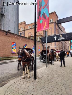 [P29] Guinness Storehouse » foto by crismis
 - 
<span class="allrVoted glyphicon glyphicon-heart hidden" id="av1453748"></span>
<a class="m-l-10 hidden" id="sv1453748" onclick="voting_Foto_DelVot(,1453748,4261)" role="button">șterge vot <span class="glyphicon glyphicon-remove"></span></a>
<a id="v91453748" class=" c-red"  onclick="voting_Foto_SetVot(1453748)" role="button"><span class="glyphicon glyphicon-heart-empty"></span> <b>LIKE</b> = Votează poza</a> <img class="hidden"  id="f1453748W9" src="/imagini/loader.gif" border="0" /><span class="AjErrMes hidden" id="e1453748ErM"></span>