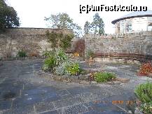 [P20] Dublin - National Botanic Gardens » foto by Diaura*
 - 
<span class="allrVoted glyphicon glyphicon-heart hidden" id="av398310"></span>
<a class="m-l-10 hidden" id="sv398310" onclick="voting_Foto_DelVot(,398310,4261)" role="button">șterge vot <span class="glyphicon glyphicon-remove"></span></a>
<a id="v9398310" class=" c-red"  onclick="voting_Foto_SetVot(398310)" role="button"><span class="glyphicon glyphicon-heart-empty"></span> <b>LIKE</b> = Votează poza</a> <img class="hidden"  id="f398310W9" src="/imagini/loader.gif" border="0" /><span class="AjErrMes hidden" id="e398310ErM"></span>