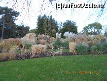 [P22] Dublin - National Botanic Gardens » foto by Diaura*
 - 
<span class="allrVoted glyphicon glyphicon-heart hidden" id="av398312"></span>
<a class="m-l-10 hidden" id="sv398312" onclick="voting_Foto_DelVot(,398312,4261)" role="button">șterge vot <span class="glyphicon glyphicon-remove"></span></a>
<a id="v9398312" class=" c-red"  onclick="voting_Foto_SetVot(398312)" role="button"><span class="glyphicon glyphicon-heart-empty"></span> <b>LIKE</b> = Votează poza</a> <img class="hidden"  id="f398312W9" src="/imagini/loader.gif" border="0" /><span class="AjErrMes hidden" id="e398312ErM"></span>
