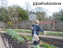 [P24] Dublin - National Botanic Gardens, gradina cu legume.  » foto by Diaura*
 - 
<span class="allrVoted glyphicon glyphicon-heart hidden" id="av398314"></span>
<a class="m-l-10 hidden" id="sv398314" onclick="voting_Foto_DelVot(,398314,4261)" role="button">șterge vot <span class="glyphicon glyphicon-remove"></span></a>
<a id="v9398314" class=" c-red"  onclick="voting_Foto_SetVot(398314)" role="button"><span class="glyphicon glyphicon-heart-empty"></span> <b>LIKE</b> = Votează poza</a> <img class="hidden"  id="f398314W9" src="/imagini/loader.gif" border="0" /><span class="AjErrMes hidden" id="e398314ErM"></span>