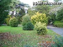 [P25] Dublin - National Botanic Gardens » foto by Diaura*
 - 
<span class="allrVoted glyphicon glyphicon-heart hidden" id="av398316"></span>
<a class="m-l-10 hidden" id="sv398316" onclick="voting_Foto_DelVot(,398316,4261)" role="button">șterge vot <span class="glyphicon glyphicon-remove"></span></a>
<a id="v9398316" class=" c-red"  onclick="voting_Foto_SetVot(398316)" role="button"><span class="glyphicon glyphicon-heart-empty"></span> <b>LIKE</b> = Votează poza</a> <img class="hidden"  id="f398316W9" src="/imagini/loader.gif" border="0" /><span class="AjErrMes hidden" id="e398316ErM"></span>
