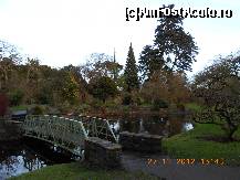 [P28] Dublin - National Botanic Gardens » foto by Diaura*
 - 
<span class="allrVoted glyphicon glyphicon-heart hidden" id="av398319"></span>
<a class="m-l-10 hidden" id="sv398319" onclick="voting_Foto_DelVot(,398319,4261)" role="button">șterge vot <span class="glyphicon glyphicon-remove"></span></a>
<a id="v9398319" class=" c-red"  onclick="voting_Foto_SetVot(398319)" role="button"><span class="glyphicon glyphicon-heart-empty"></span> <b>LIKE</b> = Votează poza</a> <img class="hidden"  id="f398319W9" src="/imagini/loader.gif" border="0" /><span class="AjErrMes hidden" id="e398319ErM"></span>