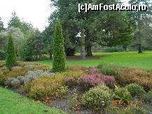 [P32] Dublin - National Botanic Gardens » foto by Diaura*
 - 
<span class="allrVoted glyphicon glyphicon-heart hidden" id="av398323"></span>
<a class="m-l-10 hidden" id="sv398323" onclick="voting_Foto_DelVot(,398323,4261)" role="button">șterge vot <span class="glyphicon glyphicon-remove"></span></a>
<a id="v9398323" class=" c-red"  onclick="voting_Foto_SetVot(398323)" role="button"><span class="glyphicon glyphicon-heart-empty"></span> <b>LIKE</b> = Votează poza</a> <img class="hidden"  id="f398323W9" src="/imagini/loader.gif" border="0" /><span class="AjErrMes hidden" id="e398323ErM"></span>