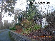 [P33] Dublin - National Botanic Gardens » foto by Diaura*
 - 
<span class="allrVoted glyphicon glyphicon-heart hidden" id="av398324"></span>
<a class="m-l-10 hidden" id="sv398324" onclick="voting_Foto_DelVot(,398324,4261)" role="button">șterge vot <span class="glyphicon glyphicon-remove"></span></a>
<a id="v9398324" class=" c-red"  onclick="voting_Foto_SetVot(398324)" role="button"><span class="glyphicon glyphicon-heart-empty"></span> <b>LIKE</b> = Votează poza</a> <img class="hidden"  id="f398324W9" src="/imagini/loader.gif" border="0" /><span class="AjErrMes hidden" id="e398324ErM"></span>