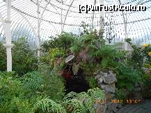 [P35] Dublin - National Botanic Gardens, Marea Sera Dreapta » foto by Diaura*
 - 
<span class="allrVoted glyphicon glyphicon-heart hidden" id="av398327"></span>
<a class="m-l-10 hidden" id="sv398327" onclick="voting_Foto_DelVot(,398327,4261)" role="button">șterge vot <span class="glyphicon glyphicon-remove"></span></a>
<a id="v9398327" class=" c-red"  onclick="voting_Foto_SetVot(398327)" role="button"><span class="glyphicon glyphicon-heart-empty"></span> <b>LIKE</b> = Votează poza</a> <img class="hidden"  id="f398327W9" src="/imagini/loader.gif" border="0" /><span class="AjErrMes hidden" id="e398327ErM"></span>