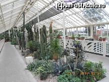 [P08] Dublin - National Botanic Gardens » foto by Diaura*
 - 
<span class="allrVoted glyphicon glyphicon-heart hidden" id="av398297"></span>
<a class="m-l-10 hidden" id="sv398297" onclick="voting_Foto_DelVot(,398297,4261)" role="button">șterge vot <span class="glyphicon glyphicon-remove"></span></a>
<a id="v9398297" class=" c-red"  onclick="voting_Foto_SetVot(398297)" role="button"><span class="glyphicon glyphicon-heart-empty"></span> <b>LIKE</b> = Votează poza</a> <img class="hidden"  id="f398297W9" src="/imagini/loader.gif" border="0" /><span class="AjErrMes hidden" id="e398297ErM"></span>