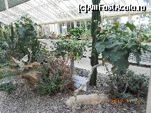 [P09] Dublin - National Botanic Gardens » foto by Diaura*
 - 
<span class="allrVoted glyphicon glyphicon-heart hidden" id="av398298"></span>
<a class="m-l-10 hidden" id="sv398298" onclick="voting_Foto_DelVot(,398298,4261)" role="button">șterge vot <span class="glyphicon glyphicon-remove"></span></a>
<a id="v9398298" class=" c-red"  onclick="voting_Foto_SetVot(398298)" role="button"><span class="glyphicon glyphicon-heart-empty"></span> <b>LIKE</b> = Votează poza</a> <img class="hidden"  id="f398298W9" src="/imagini/loader.gif" border="0" /><span class="AjErrMes hidden" id="e398298ErM"></span>