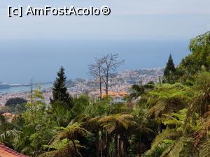 P16 [APR-2022] Golful Funchal văzut de pe Monte