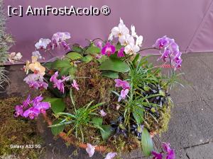 [P30] Festivalul Florilor din Madeira » foto by nicole33
 - 
<span class="allrVoted glyphicon glyphicon-heart hidden" id="av1492450"></span>
<a class="m-l-10 hidden" id="sv1492450" onclick="voting_Foto_DelVot(,1492450,4289)" role="button">șterge vot <span class="glyphicon glyphicon-remove"></span></a>
<a id="v91492450" class=" c-red"  onclick="voting_Foto_SetVot(1492450)" role="button"><span class="glyphicon glyphicon-heart-empty"></span> <b>LIKE</b> = Votează poza</a> <img class="hidden"  id="f1492450W9" src="/imagini/loader.gif" border="0" /><span class="AjErrMes hidden" id="e1492450ErM"></span>