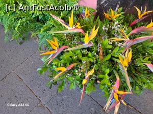 [P34] Festivalul Florilor din Madeira » foto by nicole33
 - 
<span class="allrVoted glyphicon glyphicon-heart hidden" id="av1492454"></span>
<a class="m-l-10 hidden" id="sv1492454" onclick="voting_Foto_DelVot(,1492454,4289)" role="button">șterge vot <span class="glyphicon glyphicon-remove"></span></a>
<a id="v91492454" class=" c-red"  onclick="voting_Foto_SetVot(1492454)" role="button"><span class="glyphicon glyphicon-heart-empty"></span> <b>LIKE</b> = Votează poza</a> <img class="hidden"  id="f1492454W9" src="/imagini/loader.gif" border="0" /><span class="AjErrMes hidden" id="e1492454ErM"></span>