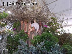 [P35] Festivalul Florilor din Madeira - un copac cu flori » foto by nicole33
 - 
<span class="allrVoted glyphicon glyphicon-heart hidden" id="av1492455"></span>
<a class="m-l-10 hidden" id="sv1492455" onclick="voting_Foto_DelVot(,1492455,4289)" role="button">șterge vot <span class="glyphicon glyphicon-remove"></span></a>
<a id="v91492455" class=" c-red"  onclick="voting_Foto_SetVot(1492455)" role="button"><span class="glyphicon glyphicon-heart-empty"></span> <b>LIKE</b> = Votează poza</a> <img class="hidden"  id="f1492455W9" src="/imagini/loader.gif" border="0" /><span class="AjErrMes hidden" id="e1492455ErM"></span>