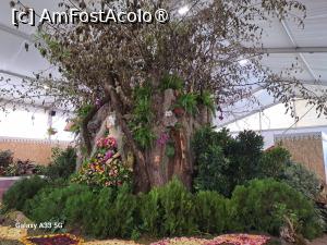[P37] Festivalul Florilor din Madeira - un copac cu flori » foto by nicole33
 - 
<span class="allrVoted glyphicon glyphicon-heart hidden" id="av1492457"></span>
<a class="m-l-10 hidden" id="sv1492457" onclick="voting_Foto_DelVot(,1492457,4289)" role="button">șterge vot <span class="glyphicon glyphicon-remove"></span></a>
<a id="v91492457" class=" c-red"  onclick="voting_Foto_SetVot(1492457)" role="button"><span class="glyphicon glyphicon-heart-empty"></span> <b>LIKE</b> = Votează poza</a> <img class="hidden"  id="f1492457W9" src="/imagini/loader.gif" border="0" /><span class="AjErrMes hidden" id="e1492457ErM"></span>