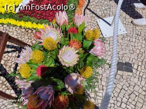 [P41] Festivalul Florilor din Madeira » foto by nicole33
 - 
<span class="allrVoted glyphicon glyphicon-heart hidden" id="av1492461"></span>
<a class="m-l-10 hidden" id="sv1492461" onclick="voting_Foto_DelVot(,1492461,4289)" role="button">șterge vot <span class="glyphicon glyphicon-remove"></span></a>
<a id="v91492461" class=" c-red"  onclick="voting_Foto_SetVot(1492461)" role="button"><span class="glyphicon glyphicon-heart-empty"></span> <b>LIKE</b> = Votează poza</a> <img class="hidden"  id="f1492461W9" src="/imagini/loader.gif" border="0" /><span class="AjErrMes hidden" id="e1492461ErM"></span>