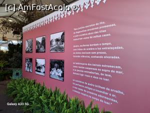 [P43] Festivalul Florilor din Madeira » foto by nicole33
 - 
<span class="allrVoted glyphicon glyphicon-heart hidden" id="av1492463"></span>
<a class="m-l-10 hidden" id="sv1492463" onclick="voting_Foto_DelVot(,1492463,4289)" role="button">șterge vot <span class="glyphicon glyphicon-remove"></span></a>
<a id="v91492463" class=" c-red"  onclick="voting_Foto_SetVot(1492463)" role="button"><span class="glyphicon glyphicon-heart-empty"></span> <b>LIKE</b> = Votează poza</a> <img class="hidden"  id="f1492463W9" src="/imagini/loader.gif" border="0" /><span class="AjErrMes hidden" id="e1492463ErM"></span>