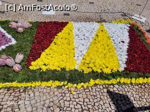 [P44] Festivalul Florilor din Madeira - detaliu covor floral » foto by nicole33
 - 
<span class="allrVoted glyphicon glyphicon-heart hidden" id="av1492464"></span>
<a class="m-l-10 hidden" id="sv1492464" onclick="voting_Foto_DelVot(,1492464,4289)" role="button">șterge vot <span class="glyphicon glyphicon-remove"></span></a>
<a id="v91492464" class=" c-red"  onclick="voting_Foto_SetVot(1492464)" role="button"><span class="glyphicon glyphicon-heart-empty"></span> <b>LIKE</b> = Votează poza</a> <img class="hidden"  id="f1492464W9" src="/imagini/loader.gif" border="0" /><span class="AjErrMes hidden" id="e1492464ErM"></span>