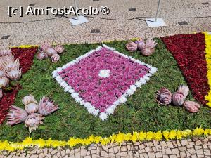 [P45] Festivalul Florilor din Madeira - detaliu covor floral » foto by nicole33
 - 
<span class="allrVoted glyphicon glyphicon-heart hidden" id="av1492465"></span>
<a class="m-l-10 hidden" id="sv1492465" onclick="voting_Foto_DelVot(,1492465,4289)" role="button">șterge vot <span class="glyphicon glyphicon-remove"></span></a>
<a id="v91492465" class=" c-red"  onclick="voting_Foto_SetVot(1492465)" role="button"><span class="glyphicon glyphicon-heart-empty"></span> <b>LIKE</b> = Votează poza</a> <img class="hidden"  id="f1492465W9" src="/imagini/loader.gif" border="0" /><span class="AjErrMes hidden" id="e1492465ErM"></span>