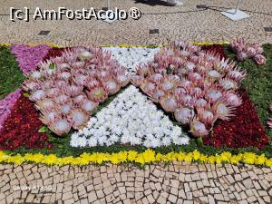 [P46] Festivalul Florilor din Madeira - detaliu covor floral » foto by nicole33
 - 
<span class="allrVoted glyphicon glyphicon-heart hidden" id="av1492466"></span>
<a class="m-l-10 hidden" id="sv1492466" onclick="voting_Foto_DelVot(,1492466,4289)" role="button">șterge vot <span class="glyphicon glyphicon-remove"></span></a>
<a id="v91492466" class=" c-red"  onclick="voting_Foto_SetVot(1492466)" role="button"><span class="glyphicon glyphicon-heart-empty"></span> <b>LIKE</b> = Votează poza</a> <img class="hidden"  id="f1492466W9" src="/imagini/loader.gif" border="0" /><span class="AjErrMes hidden" id="e1492466ErM"></span>
