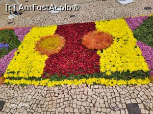 [P47] Festivalul Florilor din Madeira - detaliu covor floral » foto by nicole33
 - 
<span class="allrVoted glyphicon glyphicon-heart hidden" id="av1492467"></span>
<a class="m-l-10 hidden" id="sv1492467" onclick="voting_Foto_DelVot(,1492467,4289)" role="button">șterge vot <span class="glyphicon glyphicon-remove"></span></a>
<a id="v91492467" class=" c-red"  onclick="voting_Foto_SetVot(1492467)" role="button"><span class="glyphicon glyphicon-heart-empty"></span> <b>LIKE</b> = Votează poza</a> <img class="hidden"  id="f1492467W9" src="/imagini/loader.gif" border="0" /><span class="AjErrMes hidden" id="e1492467ErM"></span>