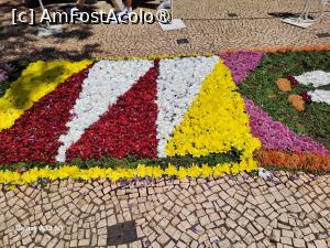 [P49] Festivalul Florilor din Madeira - detaliu covor floral » foto by nicole33
 - 
<span class="allrVoted glyphicon glyphicon-heart hidden" id="av1492469"></span>
<a class="m-l-10 hidden" id="sv1492469" onclick="voting_Foto_DelVot(,1492469,4289)" role="button">șterge vot <span class="glyphicon glyphicon-remove"></span></a>
<a id="v91492469" class=" c-red"  onclick="voting_Foto_SetVot(1492469)" role="button"><span class="glyphicon glyphicon-heart-empty"></span> <b>LIKE</b> = Votează poza</a> <img class="hidden"  id="f1492469W9" src="/imagini/loader.gif" border="0" /><span class="AjErrMes hidden" id="e1492469ErM"></span>