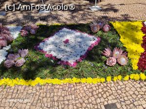 [P50] Festivalul Florilor din Madeira - detaliu covor floral » foto by nicole33
 - 
<span class="allrVoted glyphicon glyphicon-heart hidden" id="av1492470"></span>
<a class="m-l-10 hidden" id="sv1492470" onclick="voting_Foto_DelVot(,1492470,4289)" role="button">șterge vot <span class="glyphicon glyphicon-remove"></span></a>
<a id="v91492470" class=" c-red"  onclick="voting_Foto_SetVot(1492470)" role="button"><span class="glyphicon glyphicon-heart-empty"></span> <b>LIKE</b> = Votează poza</a> <img class="hidden"  id="f1492470W9" src="/imagini/loader.gif" border="0" /><span class="AjErrMes hidden" id="e1492470ErM"></span>