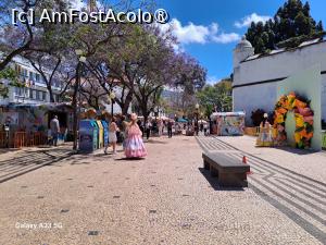 [P54] Festivalul Florilor din Madeira » foto by nicole33
 - 
<span class="allrVoted glyphicon glyphicon-heart hidden" id="av1492474"></span>
<a class="m-l-10 hidden" id="sv1492474" onclick="voting_Foto_DelVot(,1492474,4289)" role="button">șterge vot <span class="glyphicon glyphicon-remove"></span></a>
<a id="v91492474" class=" c-red"  onclick="voting_Foto_SetVot(1492474)" role="button"><span class="glyphicon glyphicon-heart-empty"></span> <b>LIKE</b> = Votează poza</a> <img class="hidden"  id="f1492474W9" src="/imagini/loader.gif" border="0" /><span class="AjErrMes hidden" id="e1492474ErM"></span>