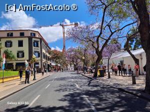 [P55] Avenida Arriaga » foto by nicole33
 - 
<span class="allrVoted glyphicon glyphicon-heart hidden" id="av1492475"></span>
<a class="m-l-10 hidden" id="sv1492475" onclick="voting_Foto_DelVot(,1492475,4289)" role="button">șterge vot <span class="glyphicon glyphicon-remove"></span></a>
<a id="v91492475" class=" c-red"  onclick="voting_Foto_SetVot(1492475)" role="button"><span class="glyphicon glyphicon-heart-empty"></span> <b>LIKE</b> = Votează poza</a> <img class="hidden"  id="f1492475W9" src="/imagini/loader.gif" border="0" /><span class="AjErrMes hidden" id="e1492475ErM"></span>