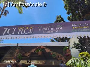 [P06] Festivalul Florilor din Madeira - Târgul de flori » foto by nicole33
 - 
<span class="allrVoted glyphicon glyphicon-heart hidden" id="av1492426"></span>
<a class="m-l-10 hidden" id="sv1492426" onclick="voting_Foto_DelVot(,1492426,4289)" role="button">șterge vot <span class="glyphicon glyphicon-remove"></span></a>
<a id="v91492426" class=" c-red"  onclick="voting_Foto_SetVot(1492426)" role="button"><span class="glyphicon glyphicon-heart-empty"></span> <b>LIKE</b> = Votează poza</a> <img class="hidden"  id="f1492426W9" src="/imagini/loader.gif" border="0" /><span class="AjErrMes hidden" id="e1492426ErM"></span>