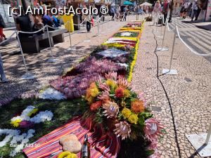 [P08] Festivalul Florilor din Madeira - covoare de flori » foto by nicole33
 - 
<span class="allrVoted glyphicon glyphicon-heart hidden" id="av1492428"></span>
<a class="m-l-10 hidden" id="sv1492428" onclick="voting_Foto_DelVot(,1492428,4289)" role="button">șterge vot <span class="glyphicon glyphicon-remove"></span></a>
<a id="v91492428" class=" c-red"  onclick="voting_Foto_SetVot(1492428)" role="button"><span class="glyphicon glyphicon-heart-empty"></span> <b>LIKE</b> = Votează poza</a> <img class="hidden"  id="f1492428W9" src="/imagini/loader.gif" border="0" /><span class="AjErrMes hidden" id="e1492428ErM"></span>