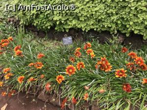 [P22] Grădina botanică din Funchal » foto by nicole33
 - 
<span class="allrVoted glyphicon glyphicon-heart hidden" id="av1497735"></span>
<a class="m-l-10 hidden" id="sv1497735" onclick="voting_Foto_DelVot(,1497735,4289)" role="button">șterge vot <span class="glyphicon glyphicon-remove"></span></a>
<a id="v91497735" class=" c-red"  onclick="voting_Foto_SetVot(1497735)" role="button"><span class="glyphicon glyphicon-heart-empty"></span> <b>LIKE</b> = Votează poza</a> <img class="hidden"  id="f1497735W9" src="/imagini/loader.gif" border="0" /><span class="AjErrMes hidden" id="e1497735ErM"></span>