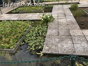[P42] Grădina botanică din Funchal - alei peste un iaz » foto by nicole33
 - 
<span class="allrVoted glyphicon glyphicon-heart hidden" id="av1497755"></span>
<a class="m-l-10 hidden" id="sv1497755" onclick="voting_Foto_DelVot(,1497755,4289)" role="button">șterge vot <span class="glyphicon glyphicon-remove"></span></a>
<a id="v91497755" class=" c-red"  onclick="voting_Foto_SetVot(1497755)" role="button"><span class="glyphicon glyphicon-heart-empty"></span> <b>LIKE</b> = Votează poza</a> <img class="hidden"  id="f1497755W9" src="/imagini/loader.gif" border="0" /><span class="AjErrMes hidden" id="e1497755ErM"></span>