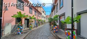 [P26] Câmara de Lobos, pe străduțe » foto by irinad
 - 
<span class="allrVoted glyphicon glyphicon-heart hidden" id="av1501242"></span>
<a class="m-l-10 hidden" id="sv1501242" onclick="voting_Foto_DelVot(,1501242,4289)" role="button">șterge vot <span class="glyphicon glyphicon-remove"></span></a>
<a id="v91501242" class=" c-red"  onclick="voting_Foto_SetVot(1501242)" role="button"><span class="glyphicon glyphicon-heart-empty"></span> <b>LIKE</b> = Votează poza</a> <img class="hidden"  id="f1501242W9" src="/imagini/loader.gif" border="0" /><span class="AjErrMes hidden" id="e1501242ErM"></span>