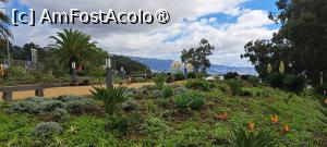 [P30] În apropierea Cabo Girão » foto by irinad
 - 
<span class="allrVoted glyphicon glyphicon-heart hidden" id="av1501246"></span>
<a class="m-l-10 hidden" id="sv1501246" onclick="voting_Foto_DelVot(,1501246,4289)" role="button">șterge vot <span class="glyphicon glyphicon-remove"></span></a>
<a id="v91501246" class=" c-red"  onclick="voting_Foto_SetVot(1501246)" role="button"><span class="glyphicon glyphicon-heart-empty"></span> <b>LIKE</b> = Votează poza</a> <img class="hidden"  id="f1501246W9" src="/imagini/loader.gif" border="0" /><span class="AjErrMes hidden" id="e1501246ErM"></span>