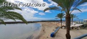 [P35] Plaja Calheta, cea din dreapta cum te uiți la ocean » foto by irinad
 - 
<span class="allrVoted glyphicon glyphicon-heart hidden" id="av1501251"></span>
<a class="m-l-10 hidden" id="sv1501251" onclick="voting_Foto_DelVot(,1501251,4289)" role="button">șterge vot <span class="glyphicon glyphicon-remove"></span></a>
<a id="v91501251" class=" c-red"  onclick="voting_Foto_SetVot(1501251)" role="button"><span class="glyphicon glyphicon-heart-empty"></span> <b>LIKE</b> = Votează poza</a> <img class="hidden"  id="f1501251W9" src="/imagini/loader.gif" border="0" /><span class="AjErrMes hidden" id="e1501251ErM"></span>