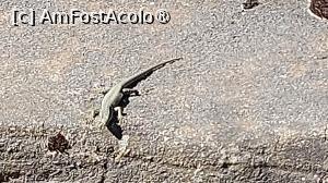 [P13]  -- <small>// FĂRĂ DESCRIERE</small> » foto by hd88gsg
 - 
<span class="allrVoted glyphicon glyphicon-heart hidden" id="av1525436"></span>
<a class="m-l-10 hidden" id="sv1525436" onclick="voting_Foto_DelVot(,1525436,4346)" role="button">șterge vot <span class="glyphicon glyphicon-remove"></span></a>
<a id="v91525436" class=" c-red"  onclick="voting_Foto_SetVot(1525436)" role="button"><span class="glyphicon glyphicon-heart-empty"></span> <b>LIKE</b> = Votează poza</a> <img class="hidden"  id="f1525436W9" src="/imagini/loader.gif" border="0" /><span class="AjErrMes hidden" id="e1525436ErM"></span>