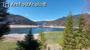 [P20]  -- <small>// FĂRĂ DESCRIERE</small> » foto by hd88gsg
 - 
<span class="allrVoted glyphicon glyphicon-heart hidden" id="av1525443"></span>
<a class="m-l-10 hidden" id="sv1525443" onclick="voting_Foto_DelVot(,1525443,4346)" role="button">șterge vot <span class="glyphicon glyphicon-remove"></span></a>
<a id="v91525443" class=" c-red"  onclick="voting_Foto_SetVot(1525443)" role="button"><span class="glyphicon glyphicon-heart-empty"></span> <b>LIKE</b> = Votează poza</a> <img class="hidden"  id="f1525443W9" src="/imagini/loader.gif" border="0" /><span class="AjErrMes hidden" id="e1525443ErM"></span>