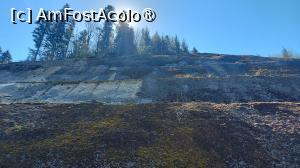 [P07]  -- <small>// FĂRĂ DESCRIERE</small> » foto by hd88gsg
 - 
<span class="allrVoted glyphicon glyphicon-heart hidden" id="av1525430"></span>
<a class="m-l-10 hidden" id="sv1525430" onclick="voting_Foto_DelVot(,1525430,4346)" role="button">șterge vot <span class="glyphicon glyphicon-remove"></span></a>
<a id="v91525430" class=" c-red"  onclick="voting_Foto_SetVot(1525430)" role="button"><span class="glyphicon glyphicon-heart-empty"></span> <b>LIKE</b> = Votează poza</a> <img class="hidden"  id="f1525430W9" src="/imagini/loader.gif" border="0" /><span class="AjErrMes hidden" id="e1525430ErM"></span>