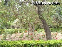 P15 [MAY-2013] Descoperă Mallorca-Valldemossa- grădina de lângă mănăstire