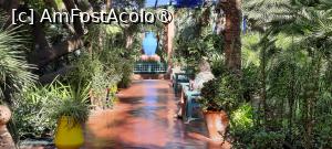 [P44] Marrakech, Grădina Majorelle, Loc de odihnă cu o mare Vază albastră » foto by mprofeanu
 - 
<span class="allrVoted glyphicon glyphicon-heart hidden" id="av1483291"></span>
<a class="m-l-10 hidden" id="sv1483291" onclick="voting_Foto_DelVot(,1483291,4416)" role="button">șterge vot <span class="glyphicon glyphicon-remove"></span></a>
<a id="v91483291" class=" c-red"  onclick="voting_Foto_SetVot(1483291)" role="button"><span class="glyphicon glyphicon-heart-empty"></span> <b>LIKE</b> = Votează poza</a> <img class="hidden"  id="f1483291W9" src="/imagini/loader.gif" border="0" /><span class="AjErrMes hidden" id="e1483291ErM"></span>