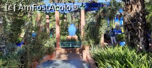 [P45] Marrakech, Grădina Majorelle, Loc de odihnă cu o mare Vază albastră » foto by mprofeanu
 - 
<span class="allrVoted glyphicon glyphicon-heart hidden" id="av1483292"></span>
<a class="m-l-10 hidden" id="sv1483292" onclick="voting_Foto_DelVot(,1483292,4416)" role="button">șterge vot <span class="glyphicon glyphicon-remove"></span></a>
<a id="v91483292" class=" c-red"  onclick="voting_Foto_SetVot(1483292)" role="button"><span class="glyphicon glyphicon-heart-empty"></span> <b>LIKE</b> = Votează poza</a> <img class="hidden"  id="f1483292W9" src="/imagini/loader.gif" border="0" /><span class="AjErrMes hidden" id="e1483292ErM"></span>