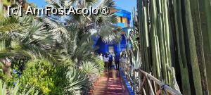 [P46] Marrakech, Grădina Majorelle, Prin Grădina viu colorată, muzeul văzut de pe altă alee » foto by mprofeanu
 - 
<span class="allrVoted glyphicon glyphicon-heart hidden" id="av1483293"></span>
<a class="m-l-10 hidden" id="sv1483293" onclick="voting_Foto_DelVot(,1483293,4416)" role="button">șterge vot <span class="glyphicon glyphicon-remove"></span></a>
<a id="v91483293" class=" c-red"  onclick="voting_Foto_SetVot(1483293)" role="button"><span class="glyphicon glyphicon-heart-empty"></span> <b>LIKE</b> = Votează poza</a> <img class="hidden"  id="f1483293W9" src="/imagini/loader.gif" border="0" /><span class="AjErrMes hidden" id="e1483293ErM"></span>