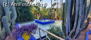 [P47] Marrakech, Grădina Majorelle, Printre cactuși, lângă Fântâna din fața muzeului » foto by mprofeanu
 - 
<span class="allrVoted glyphicon glyphicon-heart hidden" id="av1483294"></span>
<a class="m-l-10 hidden" id="sv1483294" onclick="voting_Foto_DelVot(,1483294,4416)" role="button">șterge vot <span class="glyphicon glyphicon-remove"></span></a>
<a id="v91483294" class=" c-red"  onclick="voting_Foto_SetVot(1483294)" role="button"><span class="glyphicon glyphicon-heart-empty"></span> <b>LIKE</b> = Votează poza</a> <img class="hidden"  id="f1483294W9" src="/imagini/loader.gif" border="0" /><span class="AjErrMes hidden" id="e1483294ErM"></span>