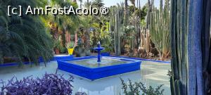 [P48] Marrakech, Grădina Majorelle, Printre cactuși, lângă Fântână » foto by mprofeanu
 - 
<span class="allrVoted glyphicon glyphicon-heart hidden" id="av1483295"></span>
<a class="m-l-10 hidden" id="sv1483295" onclick="voting_Foto_DelVot(,1483295,4416)" role="button">șterge vot <span class="glyphicon glyphicon-remove"></span></a>
<a id="v91483295" class=" c-red"  onclick="voting_Foto_SetVot(1483295)" role="button"><span class="glyphicon glyphicon-heart-empty"></span> <b>LIKE</b> = Votează poza</a> <img class="hidden"  id="f1483295W9" src="/imagini/loader.gif" border="0" /><span class="AjErrMes hidden" id="e1483295ErM"></span>