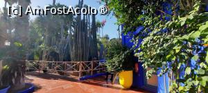 [P50] Marrakech, Grădina Majorelle, Colecția de Cactuși » foto by mprofeanu
 - 
<span class="allrVoted glyphicon glyphicon-heart hidden" id="av1483297"></span>
<a class="m-l-10 hidden" id="sv1483297" onclick="voting_Foto_DelVot(,1483297,4416)" role="button">șterge vot <span class="glyphicon glyphicon-remove"></span></a>
<a id="v91483297" class=" c-red"  onclick="voting_Foto_SetVot(1483297)" role="button"><span class="glyphicon glyphicon-heart-empty"></span> <b>LIKE</b> = Votează poza</a> <img class="hidden"  id="f1483297W9" src="/imagini/loader.gif" border="0" /><span class="AjErrMes hidden" id="e1483297ErM"></span>