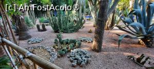 [P57] Marrakech, Grădina Majorelle, Colecția de Cactuși » foto by mprofeanu
 - 
<span class="allrVoted glyphicon glyphicon-heart hidden" id="av1483304"></span>
<a class="m-l-10 hidden" id="sv1483304" onclick="voting_Foto_DelVot(,1483304,4416)" role="button">șterge vot <span class="glyphicon glyphicon-remove"></span></a>
<a id="v91483304" class=" c-red"  onclick="voting_Foto_SetVot(1483304)" role="button"><span class="glyphicon glyphicon-heart-empty"></span> <b>LIKE</b> = Votează poza</a> <img class="hidden"  id="f1483304W9" src="/imagini/loader.gif" border="0" /><span class="AjErrMes hidden" id="e1483304ErM"></span>